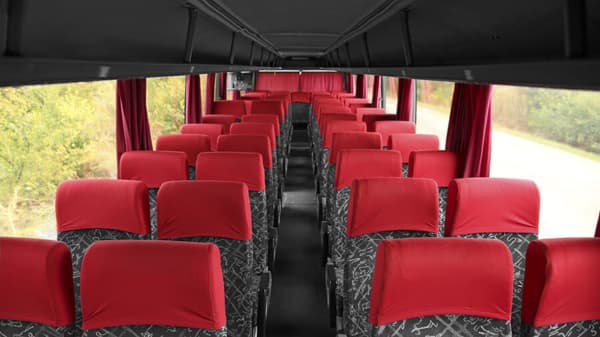 Boy Scouts Three Day Camping Trip